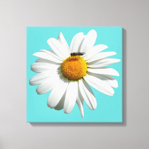 Toile Bee on Daisy Alaskan Summer Nature