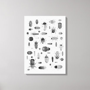 Toile Beetle noir et blanc