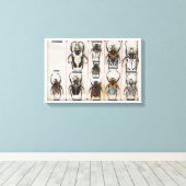 Toile Beetle Species Bug Insect nature photograph  (Insitu (Plancher de Bois))