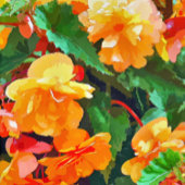 TOILE BEGONIAS