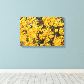 Toile Bel Arbuste de Forsythia Doré (Insitu (Plancher de Bois))