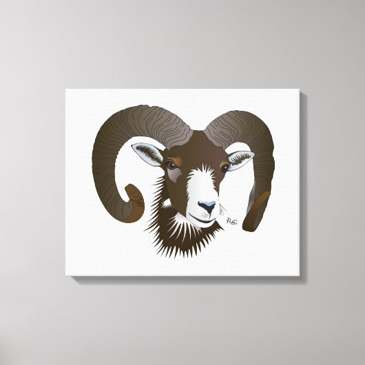 Toile Bélier (Recto)