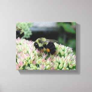 Toile Belle abeille alimentaire