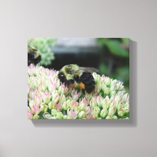 Toile Belle abeille alimentaire (Recto)