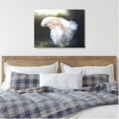 Toile Belle Betta blanche Siamese Lutter Poisson (Insitu(Chambre))