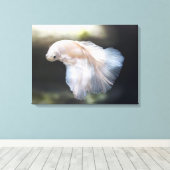 Toile Belle Betta blanche Siamese Lutter Poisson (Insitu (Plancher de Bois))