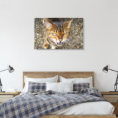 Toile Belle Chat Bengale (Insitu(Chambre))