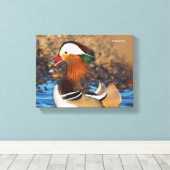 Toile Belle Chatty Mandarin Canard à l'étang (Insitu (Plancher de Bois))