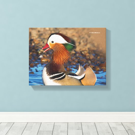 Toile Belle Chatty Mandarin Canard à l'étang (Insitu (Plancher de Bois))