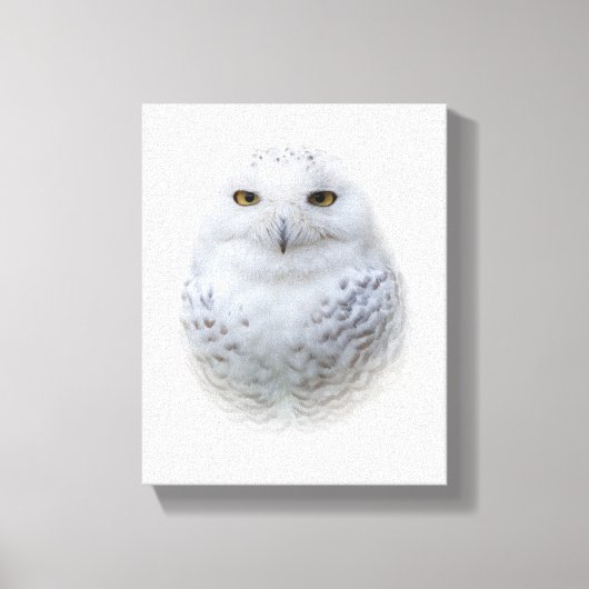 Toile Belle, Dreamy et Serene Snowy Owl (Recto)