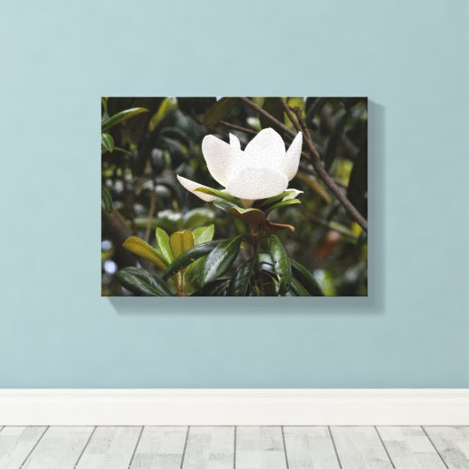 Toile Belle Fleur de Magnolia (Insitu (Plancher de Bois))