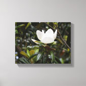Toile Belle Fleur de Magnolia (Recto)