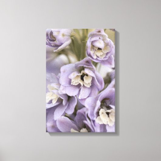 Toile Belle Fleur Delphinium Violet Lumière (Recto)