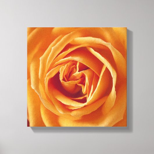 Toile Belle Fleur Rose Jaune Florale (Recto)
