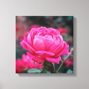 Toile Belle Fleur Rose Rose