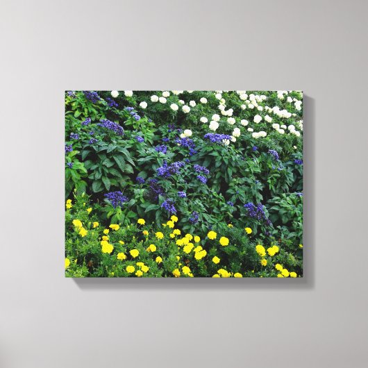 Toile Belle Fleurs Photo Canvas simple (Recto)