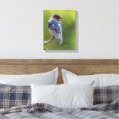 Toile Belle hirondelle de grange sur une branche (Insitu(Chambre))