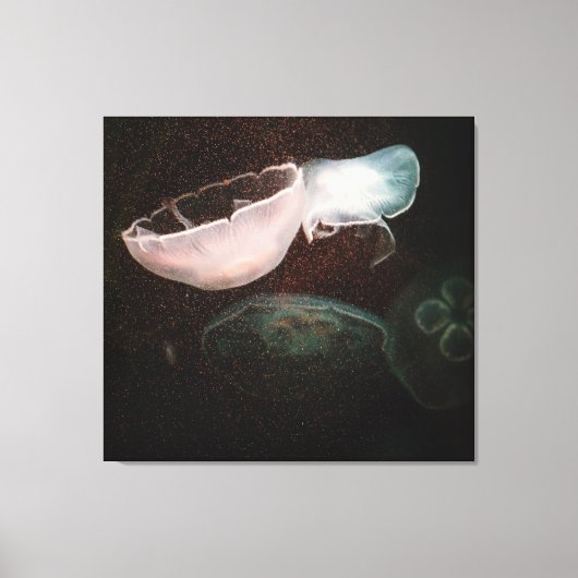 Toile Belle méduse (Recto)