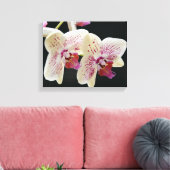 Toile Belle Orchidée blanche et rose avec Arrière - plan (Insitu(Salon))