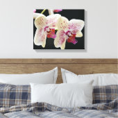 Toile Belle Orchidée blanche et rose avec Arrière - plan (Insitu(Chambre))
