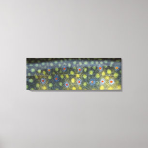 Toile Belle peau, Jordan River Brookie"