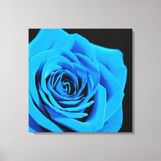 Toile Belle rose bleue (Recto)