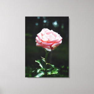 Toile Belle rose rose rose