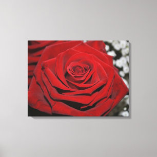 Toile Belle Rose Rouge