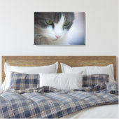 Toile Belle Tabby-et-Blanc Chat à regarder vers le bas (Insitu(Chambre))
