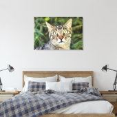 Toile Belle tabby gris aux yeux verts gros plan (Insitu(Chambre))