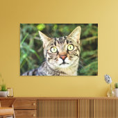 Toile Belle tabby gris aux yeux verts gros plan (Insitu(Salon))