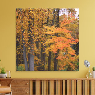 Toile Belle Tombe Feuilles de peuplier tulipe arbres