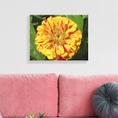 Toile Belle Zinnia (Insitu(Salon))
