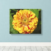Toile Belle Zinnia (Insitu (Plancher de Bois))
