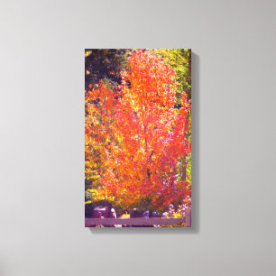 Toile Belles couleurs 2 d'automne