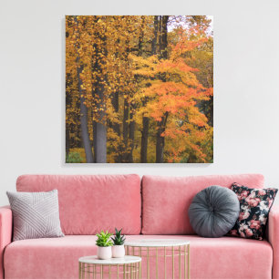 Toile Belles feuilles d'automne Tulipier arbres
