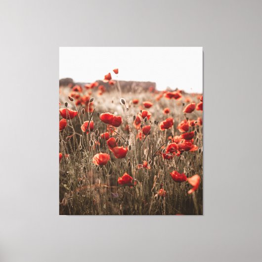 Toile belles fleurs de coquelicot (Recto)