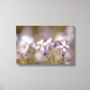 Toile Belles Fleurs Violettes Et Blanches