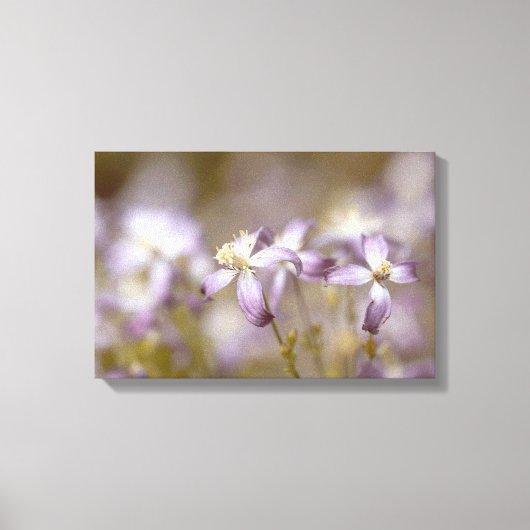 Toile Belles Fleurs Violettes Et Blanches (Recto)