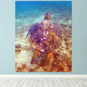 Toile Belles tortues de mer (Insitu (Plancher de Bois))