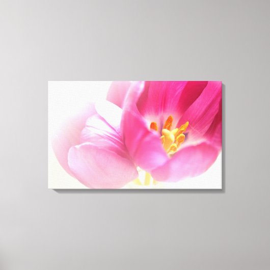 TOILE BELLES TULIPES ROSES (Recto)
