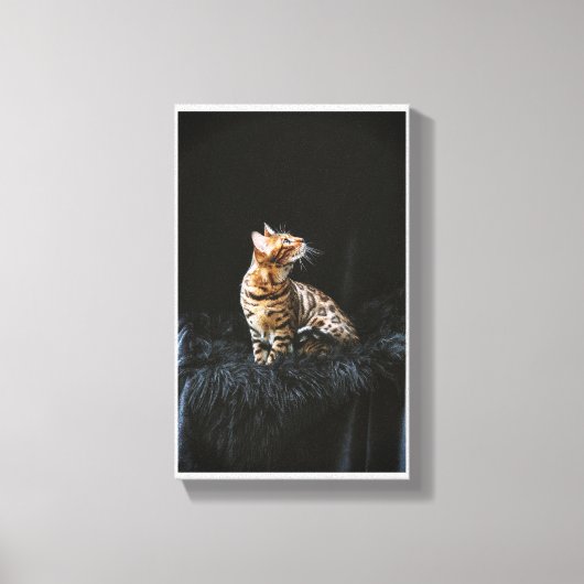 Toile Bengale (Recto)