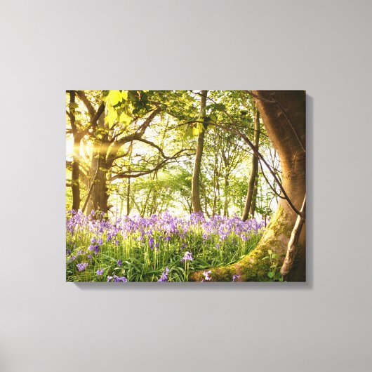 Toile Bent arbre dans la forêt bluebell (Recto)