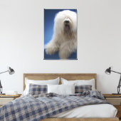 Toile Berger (Insitu(Chambre))