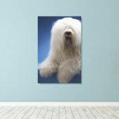 Toile Berger (Insitu (Plancher de Bois))