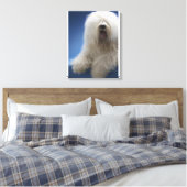 Toile Berger (Insitu(Chambre))