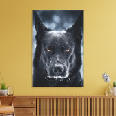Toile Berger Allemand Noir (Insitu(Salon))