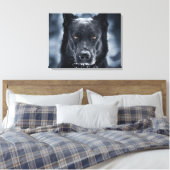 Toile Berger Allemand Noir (Insitu(Chambre))