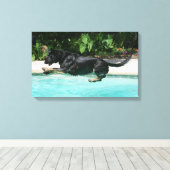 Toile berger allemand sauter dans l'eau (Insitu (Plancher de Bois))