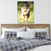 Toile Berger Australien Jouant Avec Ball (Insitu(Chambre))
